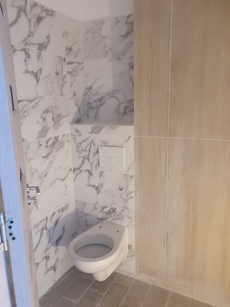 Titan, Pallady, Nicolae Teclu.